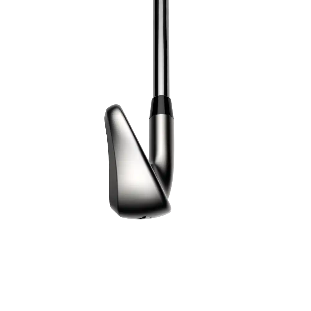 Cobra DS-Adapt Irons - Steel