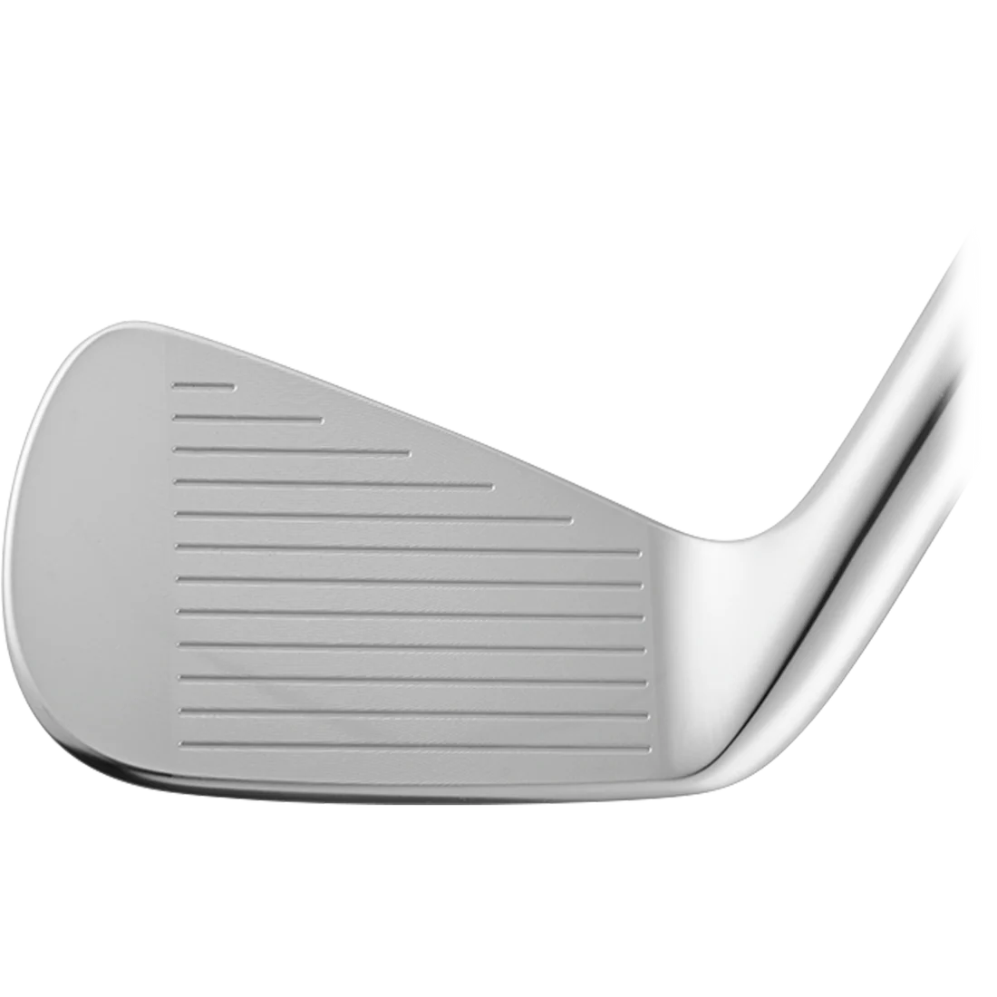 VEGA SS Golf Irons