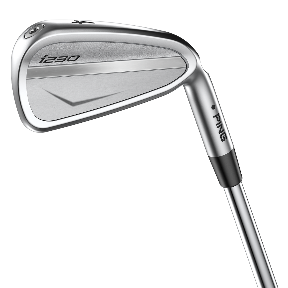 Ping i230 Steel Golf Irons