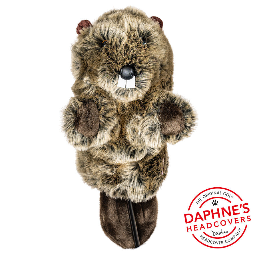 Daphne's Headcovers - Beaver