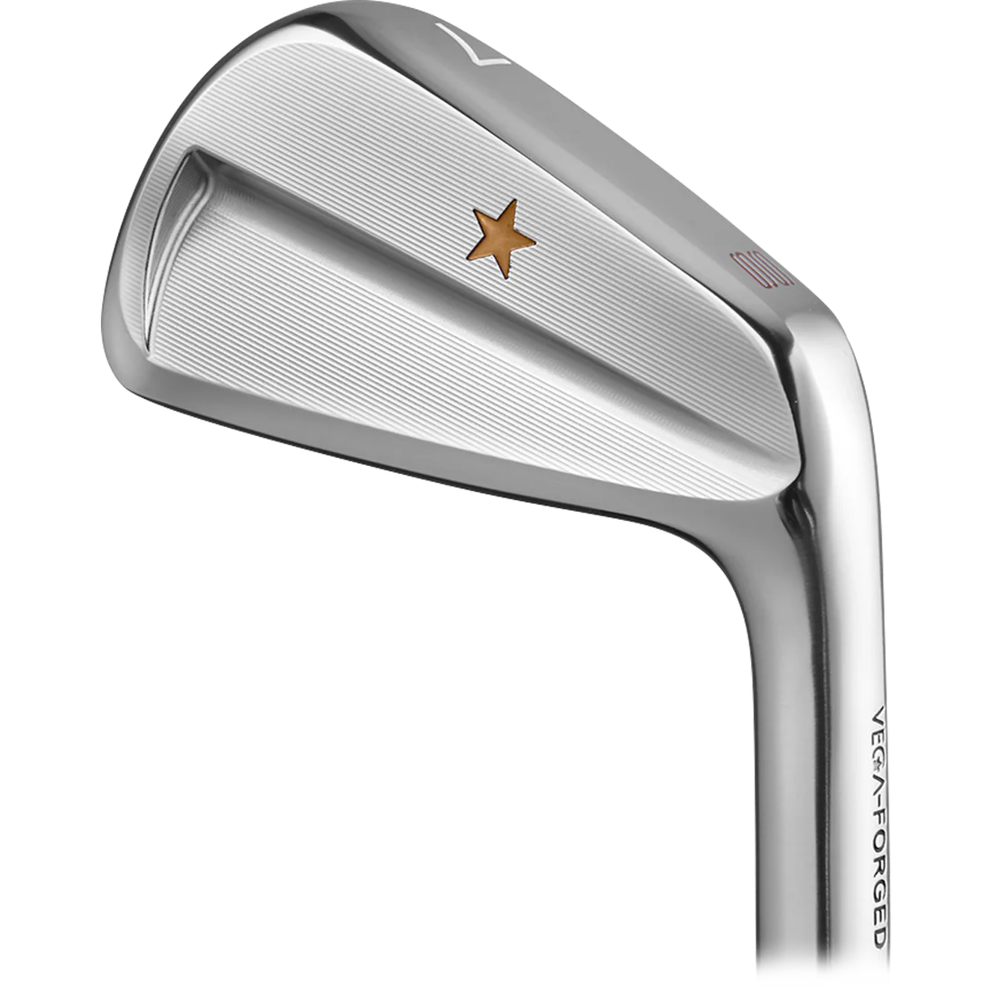 VEGA SS Golf Irons