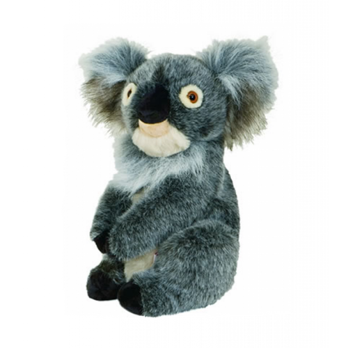 Daphne's Koala Driver Headcover | Evolution Golf | Daphne's | Evolution Golf 